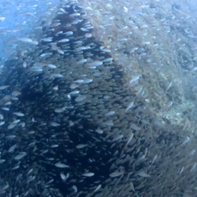 MARINE SPA ♥️の画像