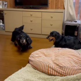 お便りいただきました♪の画像