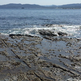 海〜動画②の画像