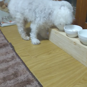 良いことなんやろなぁの画像