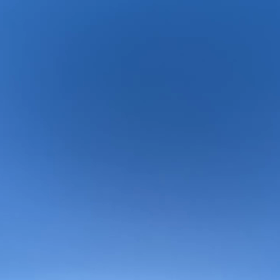 2023年1月11日（水）のおわらサーキットの画像