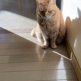 たまにはマリア登場♡の画像