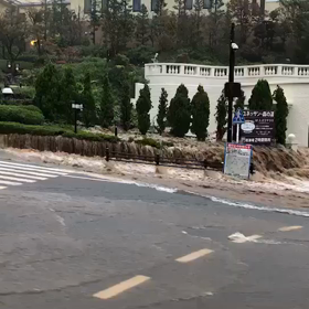 ビックリ！！の画像