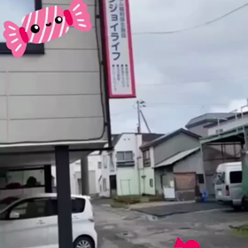 搬入の謎の画像