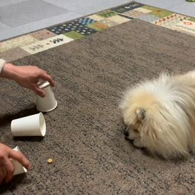 あかん。の画像