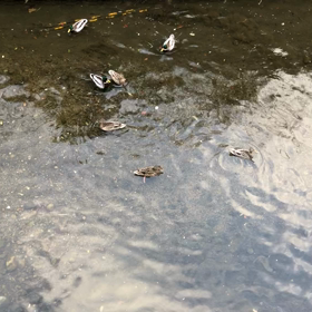 ストイックの画像