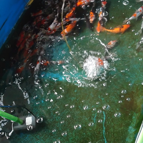 電話しましたの画像