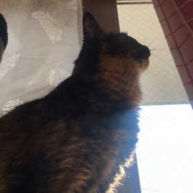 むるのジャンプ！！の画像