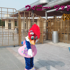 ユニバ、ウィニー・ウッドペッカーのグリーティング（動画）（2020.8.7）の画像
