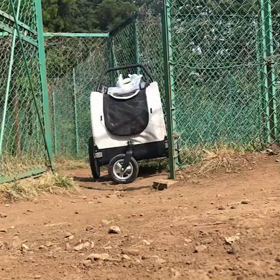 健気なうにちゃん(T ^ T)の画像