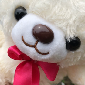 8月17日の気になる、きになるぅ〜の画像