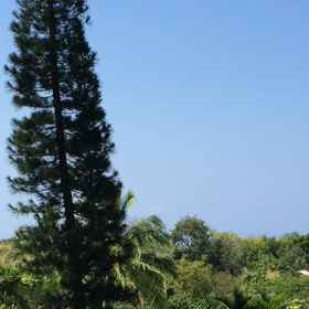 ハワイ島の風の画像