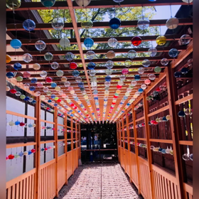 ✿けふの壱枚✿の画像