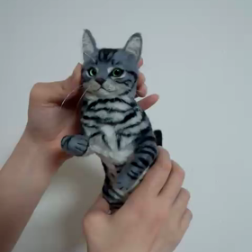 アメショー完成！の画像