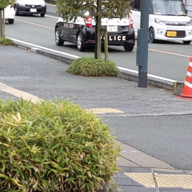 予想通りというかやっぱり現れたのね（笑）の画像