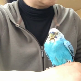 ラムについて③の画像