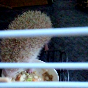 ♯食いしん坊♯の画像