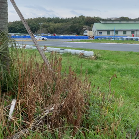 ジムカーナ東海シリーズの画像