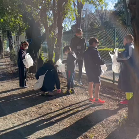 年末の大掃除⑦の画像