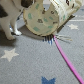 ぎこちないの画像