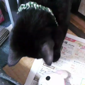 No.68 罹患の経緯‥の画像