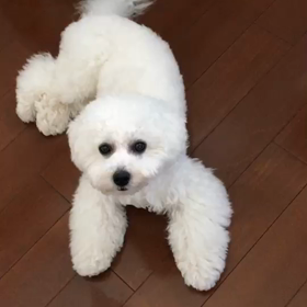 つぶやきみるく。の画像