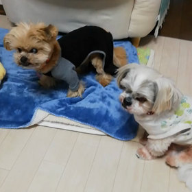 ごちそうさまの画像