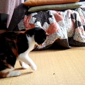 むすびの友達の画像