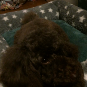 漁れた♬の画像