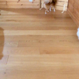 待ちきれないの画像