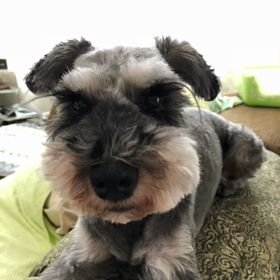 ひとりごとの画像