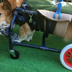 荒ぶるマック　命の重さの画像