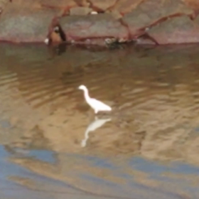 【己との闘いに勝つために】の画像