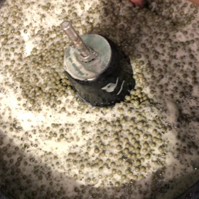 納豆のようなの画像