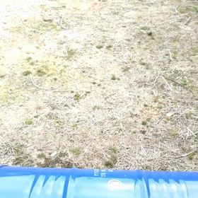 ( ￣ー￣)バッキバキ…の画像