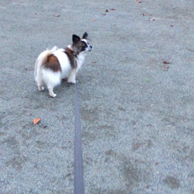 独り舞台(´∇｀)の画像