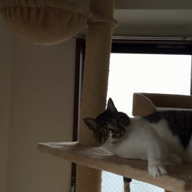 りく遊び〜続きの画像