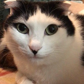 ゆるりりる〰の画像