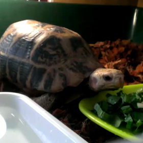 思い出すの画像