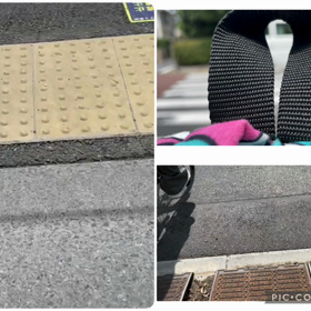 動画を撮ってみたの画像