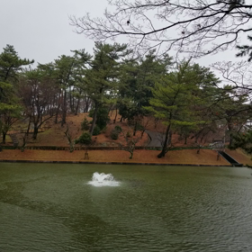 どしゃ降りでも散歩しましたよの画像