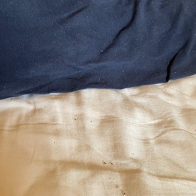 ルージュは？の画像