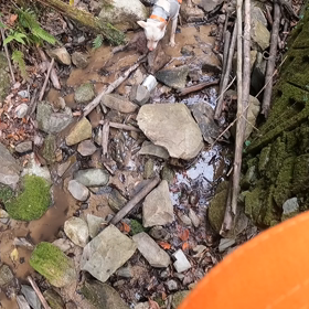 2021.02.17   単独猟　天気曇り午後には時々小雪ひどく寒いの画像