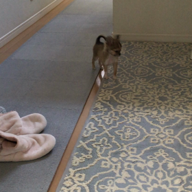 いの丸✩︎3日目の画像