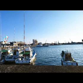 今日も終わりました土佐の画像