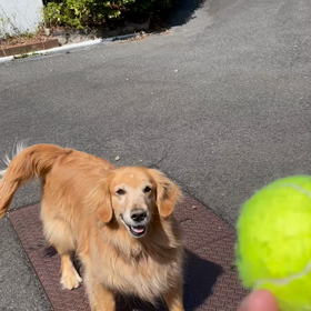 今日もご機嫌ヾ(@^▽^@)ノ　の画像