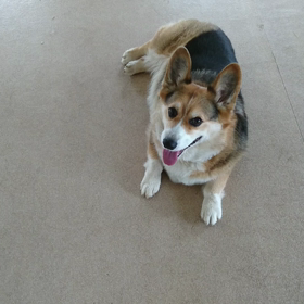 バーッンの画像