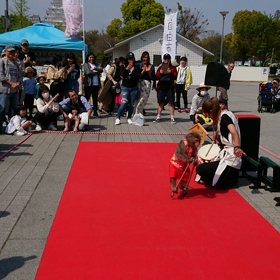 心にうつりゆくよしなしごとをの画像