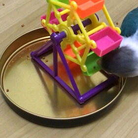 天才！？の画像