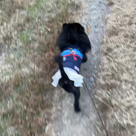 2022年11月17日　招集待ちの画像